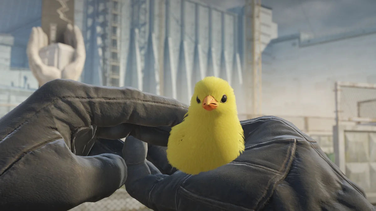 pet chicken cs2